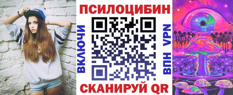 Купить  Никольское  Псилоцибиновые грибы мицелий 